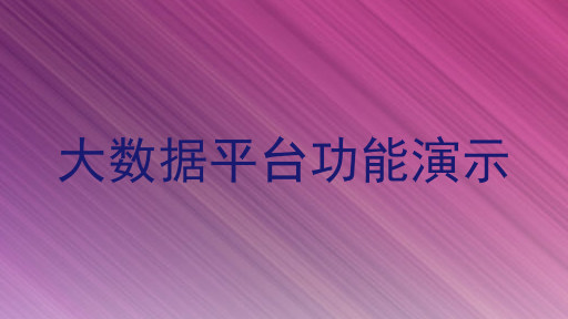 大数据平台功能演示