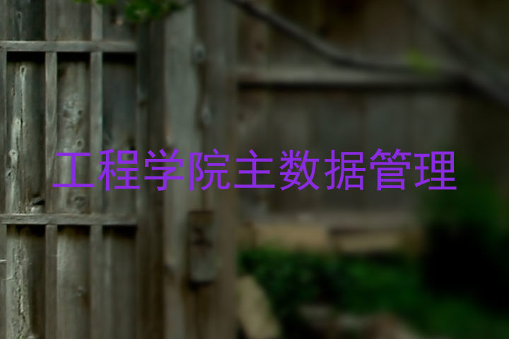 工程学院主数据管理