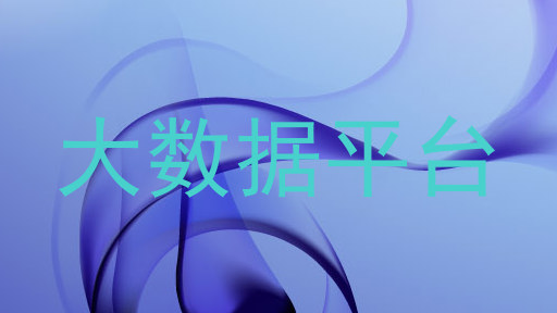 大数据平台
