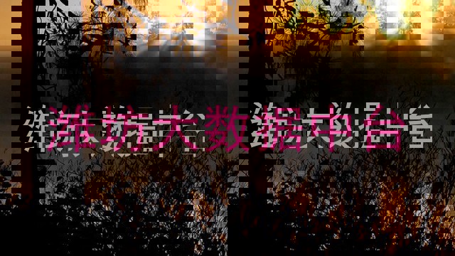 潍坊大数据中台