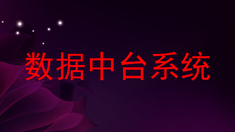 数据中台系统