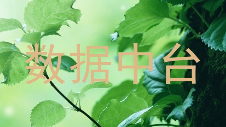 数据中台