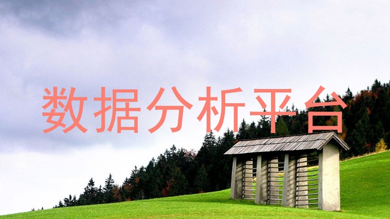 数据分析平台