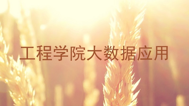 工程学院大数据应用
