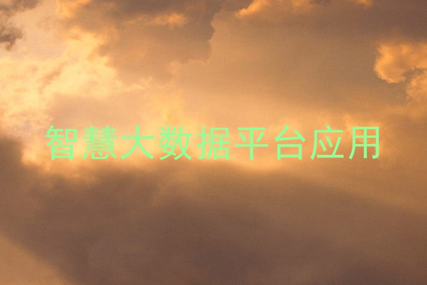 智慧大数据平台应用