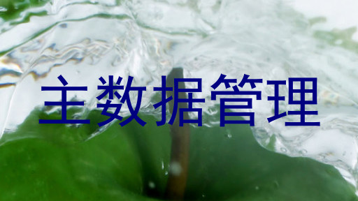 主数据管理