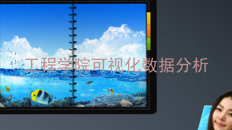 工程学院可视化数据分析