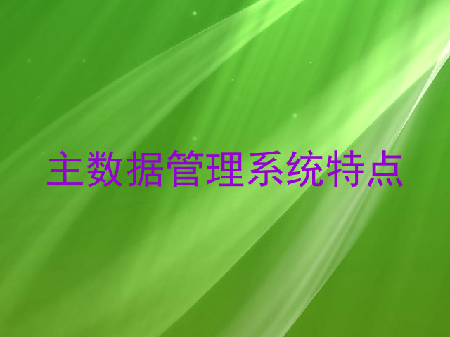 主数据管理系统特点