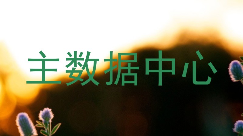主数据中心