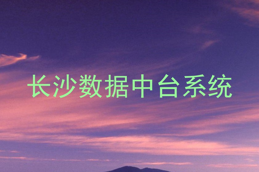 长沙数据中台系统