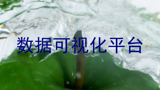 数据可视化平台