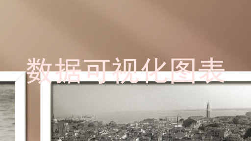 数据可视化图表