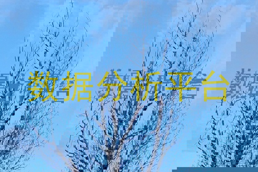数据分析平台