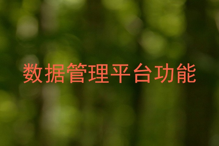 数据管理平台功能