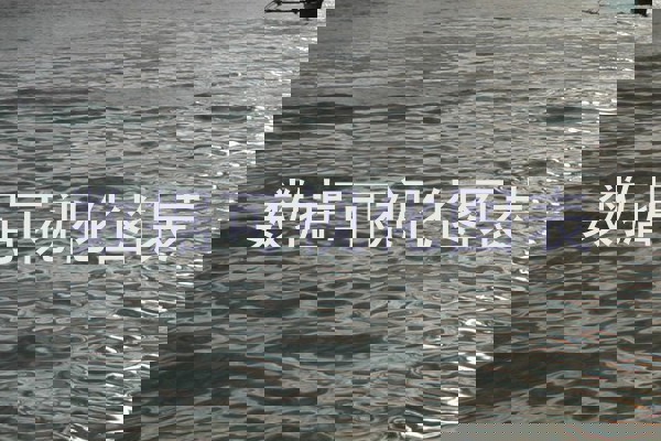 数据可视化图表