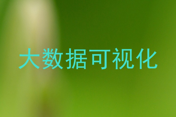 大数据可视化
