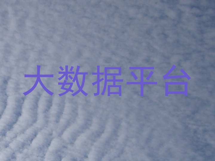 大数据平台