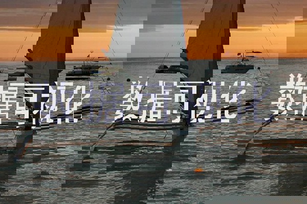 数据可视化