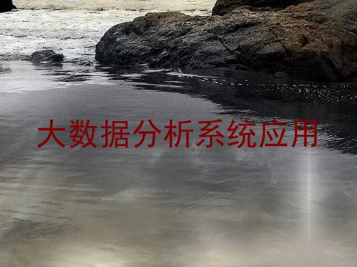 大数据分析系统应用