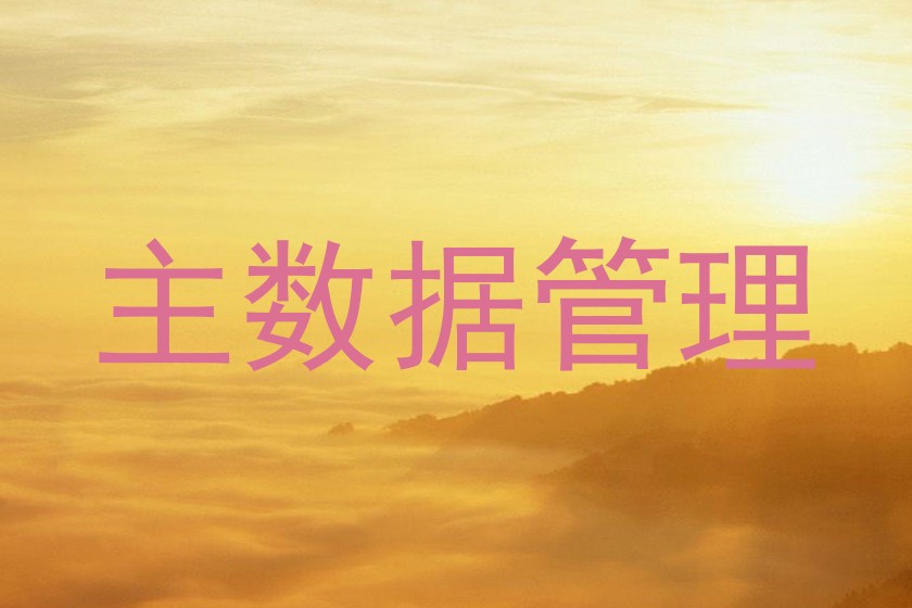 主数据管理