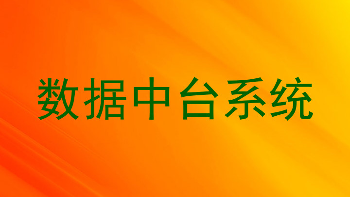数据中台系统