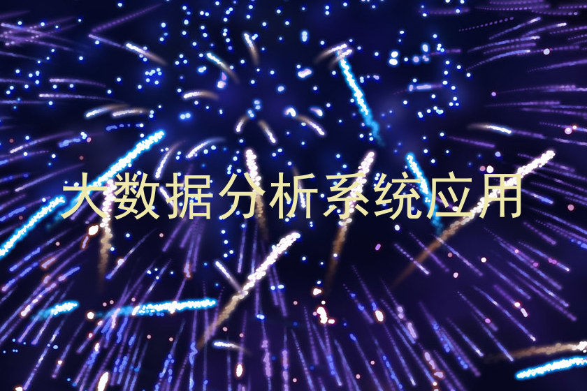 大数据分析系统应用