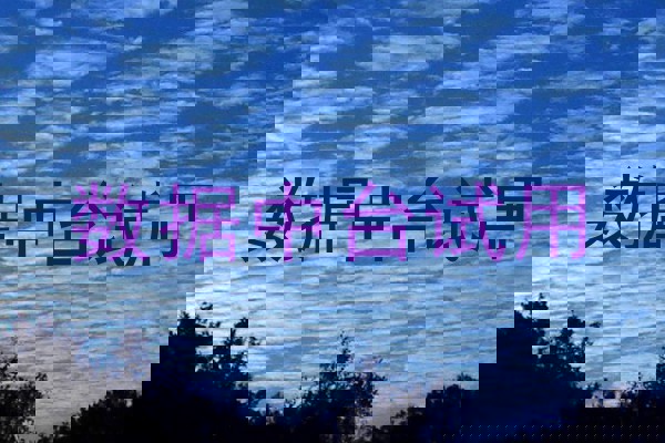 数据中台试用
