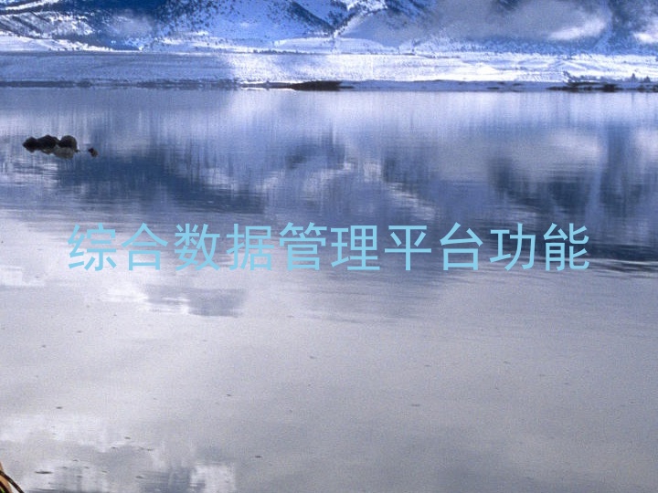 综合数据管理平台功能