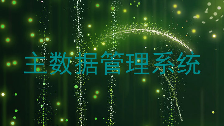 主数据管理系统