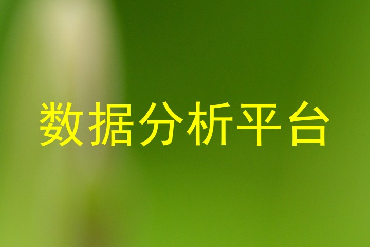 数据分析平台