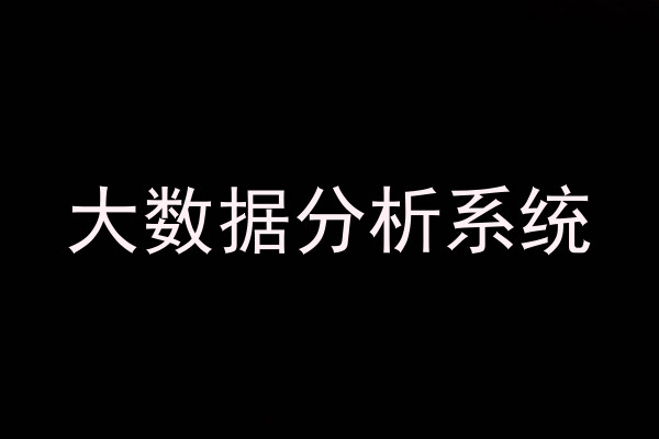 大数据分析系统