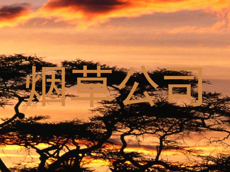 烟草公司