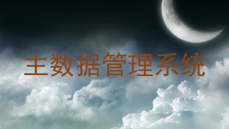 主数据管理系统