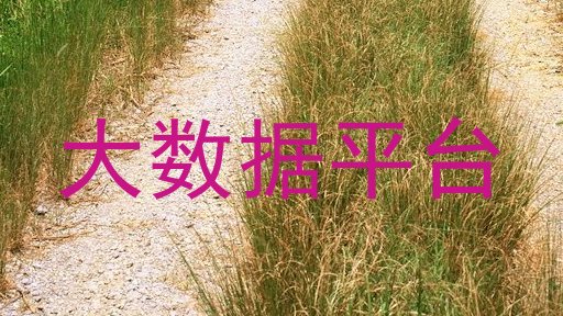 大数据平台