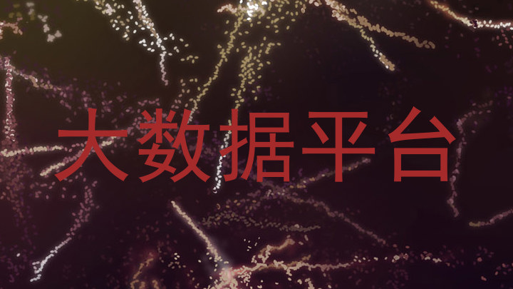 大数据平台