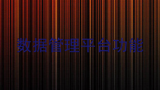 数据管理平台功能