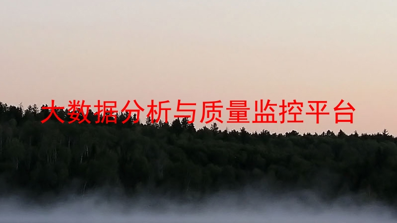 大数据分析与质量监控平台