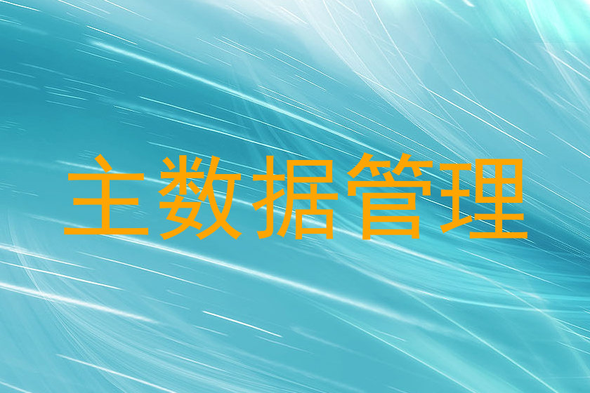 主数据管理
