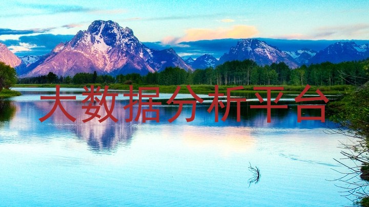 大数据分析平台