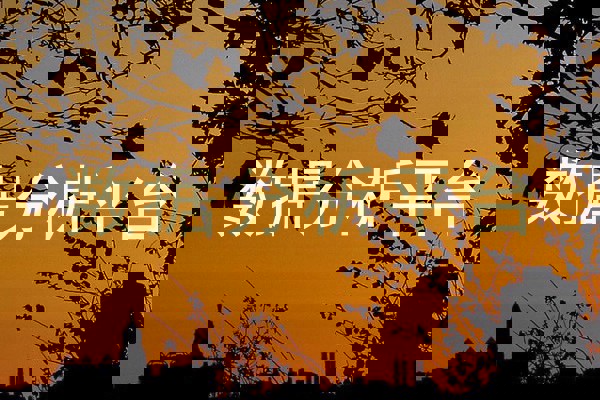 数据分析平台