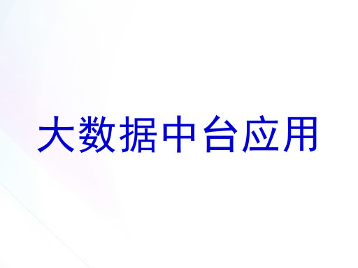 大数据中台应用