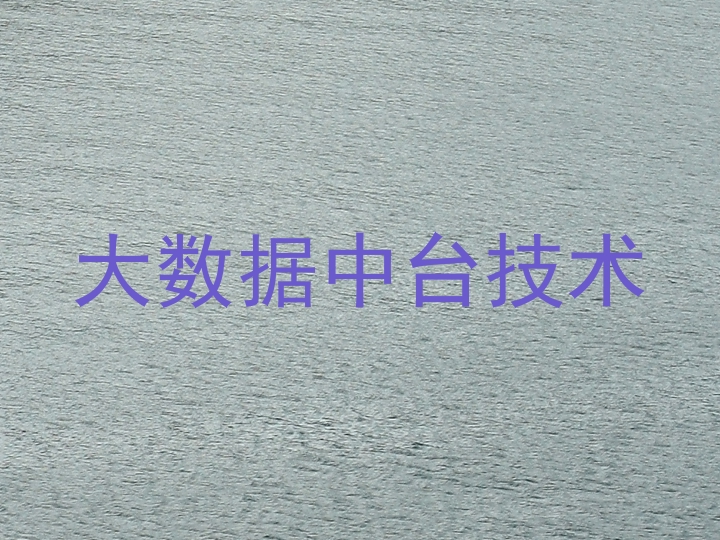 大数据中台技术