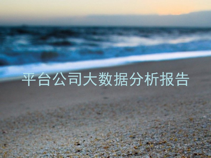 平台公司大数据分析报告