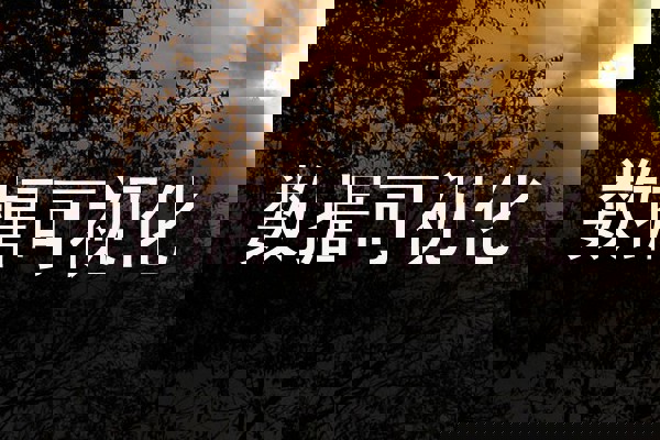 数据可视化