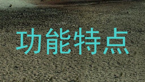 功能特点
