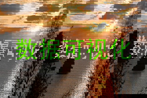 数据可视化