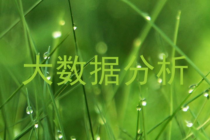 大数据分析