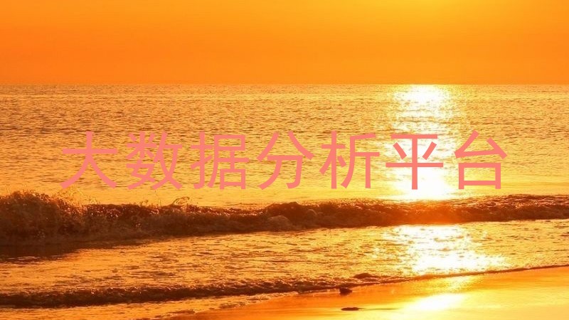 大数据分析平台