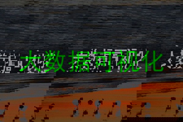 大数据可视化