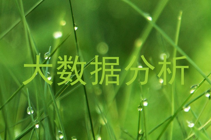 大数据分析